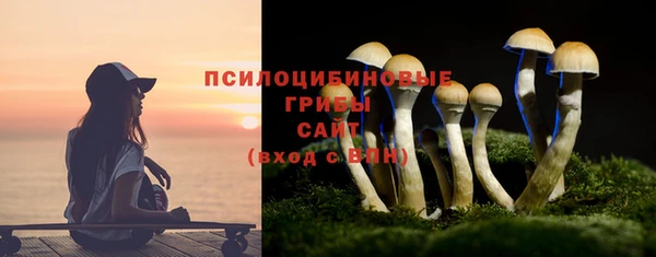 шишки Лихославль