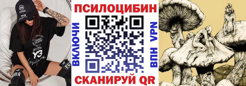 Купить где  Шацк  Псилоцибиновые грибы Psilocybine cubensis 